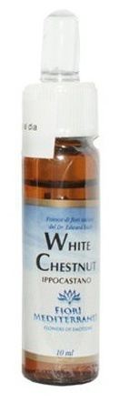 Fm 35 White Chestnut 10 ml Fm 35 White Chestnut 10 ml